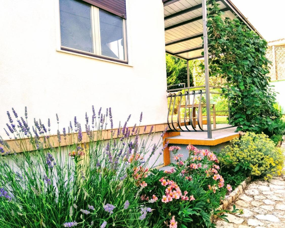 Apartments And Room Markovic Rovinjsko Selo Esterno foto