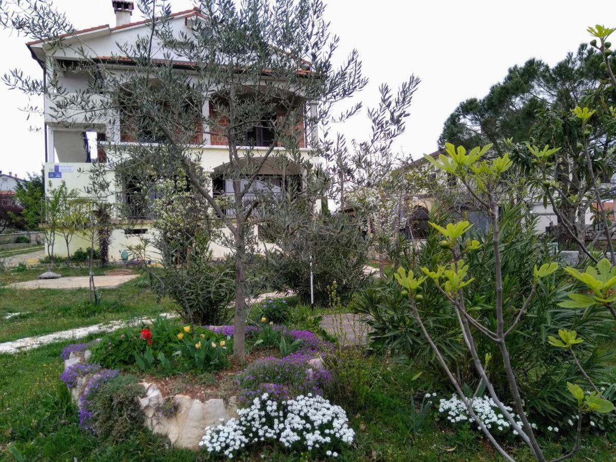 Apartments And Room Markovic Rovinjsko Selo Esterno foto
